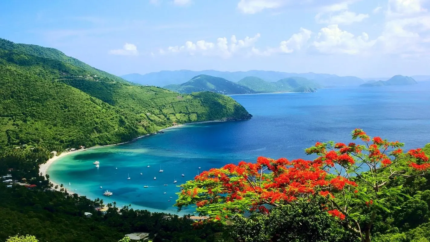 高端高质量智能